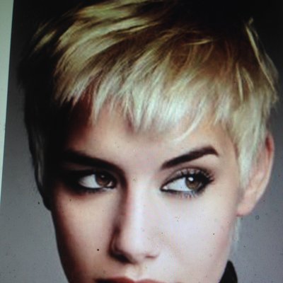 Profile Picture of Ginny Hansen (@GinnyHansen1) on Twitter