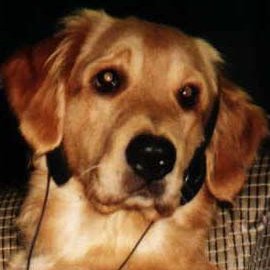 ALICIA BARTOLINI - Twitter Profile Picture of ALICIA BARTOLINI (@bartolinialicia) on Twitter