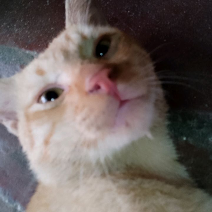 Profile Picture of DANIEL (@danielmonteroyo2) on Tiktok
