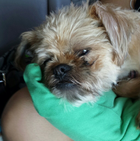 Profile Picture of Kelley Divelbiss (@kaycambella) on Poshmark