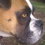 Profile Picture of Kim Cawood (@kimcawood) on Instagram