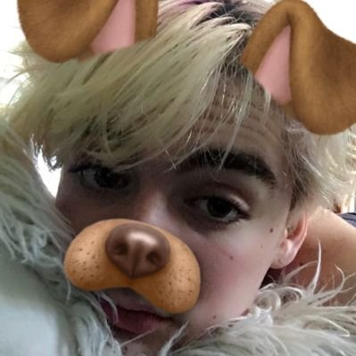 Profile Picture of Thomas Ricker (@ThomasRicker16) on Twitter