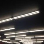Profile Picture of Alejandro Paz (@apazgt) on Instagram