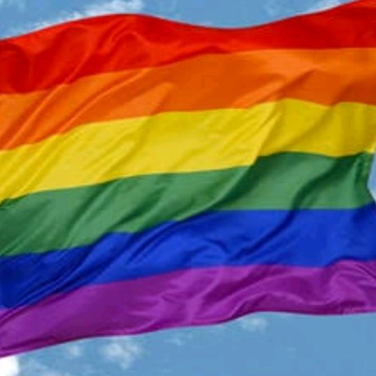 Profile Picture of Joshua Wolfe (@rainbowproletariat) on Tiktok