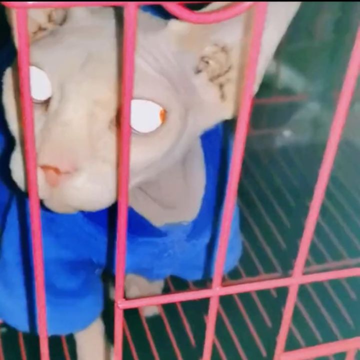 Profile Picture of randolphhansenrandolph (@randolphhansenrandolph) on Tiktok