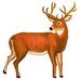 Profile Picture of Christian Urrego (@christian.urrego.528) on Facebook
