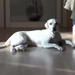 Profile Picture of 김민정 (@jackson_5376) on Instagram