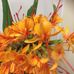 Profile Picture of Diana Matthias (Nee Cheshire) (@diana.mathias.562) on Facebook