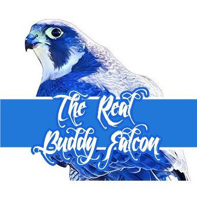 Profile Picture of Buddy Falcon (@buddy_falcon) on Twitter