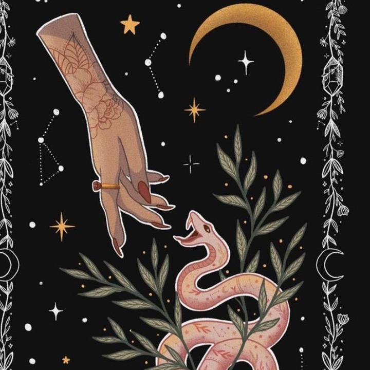 Profile Picture of Michelle Reiko (@michellereiko) on Tiktok