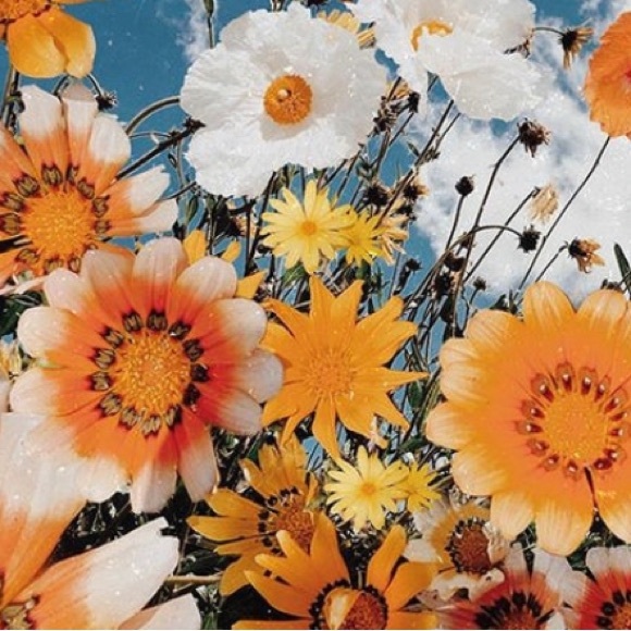 Profile Picture of Felicia Balaska (@fifiadifi) on Poshmark