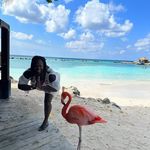 Profile Picture of Kim Wiggins (@baltimostkim) on Instagram
