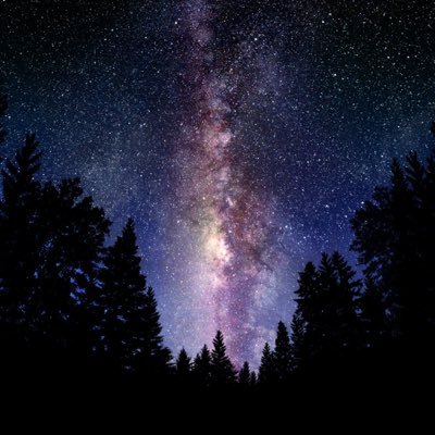 Profile Picture of Philip Stapleton (@PhilipStape) on Twitter