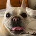 Profile Picture of Heidi Wilkinson (@heidiw0339) on Pinterest