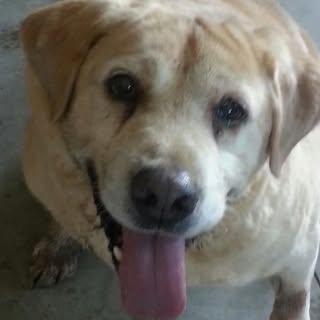 Profile Picture of Gary Lucier (@gary_lucier) on Instagram