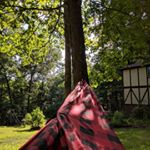 Profile Picture of Craig Perry (@thereelcraigperry) on Instagram