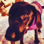 Profile Picture of Bryce Graham (@tails_0n_trails) on Instagram