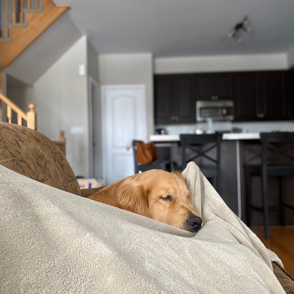 Profile Picture of Drew Marshall (@drewmarshall504) on Poshmark