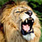 Profile Picture of Daniel Junio (@principe mercuccio) on Flickr