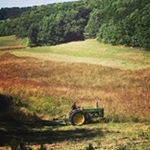 Profile Picture of Ron Tollefson (@tollefsonron) on Instagram