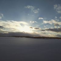 Profile Picture of Lisa Riga (@lisar3111) on Pinterest