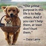 RitaMcGinness - Instagram Profile Picture of RitaMcGinness (@nanamcginness) on Instagram