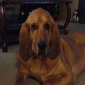 Profile Picture of Cody Connors (@Codaaaay) on Pinterest