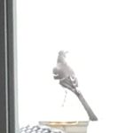 Profile Picture of Joseph Ferrante (@joseph_f628) on Instagram