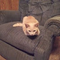 Profile Picture of Darrell Owens (@darrell-owens-21) on Quora