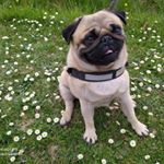 Jacob - Instagram Profile Picture of Jacob (@jacob.moncarlin) on Instagram