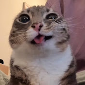 Profile Picture of Abraham Cisneros (@Abrahamcisneros-g2g) on Youtube