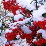 Profile Picture of Kerry markson (@kerry_markson214) on Instagram