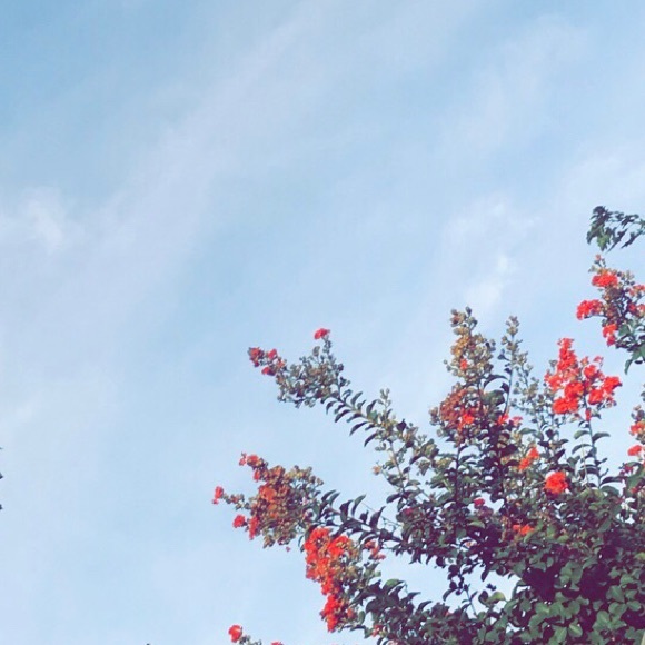 Profile Picture of Yazmin Sanchez (@yazz87) on Poshmark