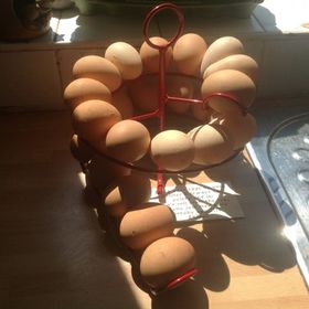 Profile Picture of Charlotte Lythaby (@charlottelythab) on Pinterest