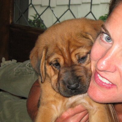 Profile Picture of Natalie Shafer (@NannyJoShafer) on Twitter