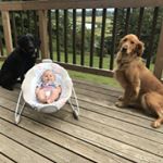 Profile Picture of Craig Nielson (@craig_nielson) on Instagram