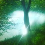 Profile Picture of Marko Dukic (@markodukic988) on Instagram