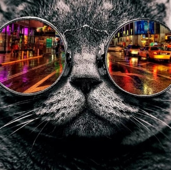 Profile Picture of Saoussane Allouche (@soussaina2008) on Poshmark