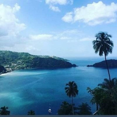 Profile Picture of Lloyd Walters (@Lloyd__walters) on Twitter