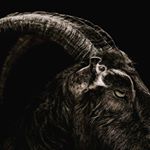 Profile Picture of Samuel Esteban Ávila (@currino23) on Instagram