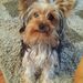 Profile Picture of Annette Pilcher (@annettepilcher3) on Pinterest
