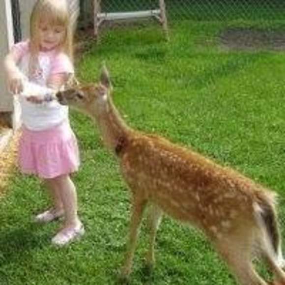 Profile Picture of Bruce Keidel (@bkeidel4870) on Poshmark