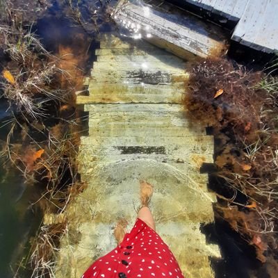 Profile Picture of Ah_choo (@Ahchoo4) on Twitter