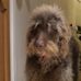 Profile Picture of Andrew Hawkes (@andrew.hawkes.587) on Facebook