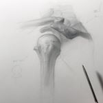 Profile Picture of Joshua Henderson (@anatomicaldrawing) on Instagram