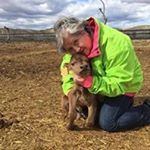 Profile Picture of Julia Carpio (@julia.carpio.169) on Instagram