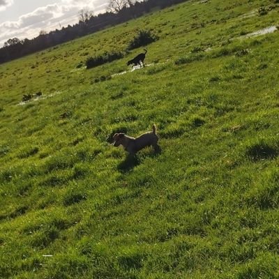 Profile Picture of William Studley (@WilliamStudley6) on Twitter