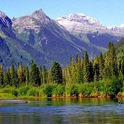 Profile Picture of Joe Denham (@Freedom2111) on Twitter