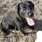 Richard Knaggs - Instagram Profile Picture of Richard Knaggs (@knaggs_r) on Instagram