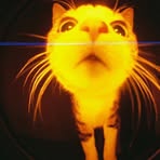 Profile Picture of Clella Edwards (@clella.edwards) on Facebook